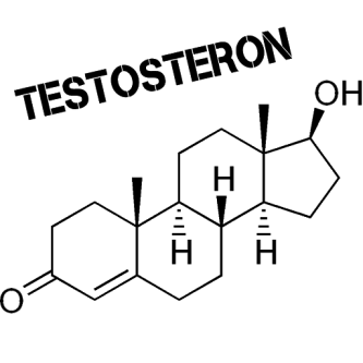 Testosteron