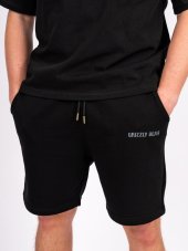 Pánské šortky GR2 Regular Fit