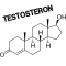 Testosteron
